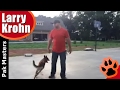 Belgian Malinois Playing / Training Session / Nashville Dog Training Belgian Malinois Playing / Training Session / Nashville Dog Training
