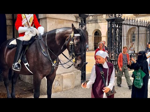 Tourist beware: The forbidden act that puts horses at risk.. - YouTube