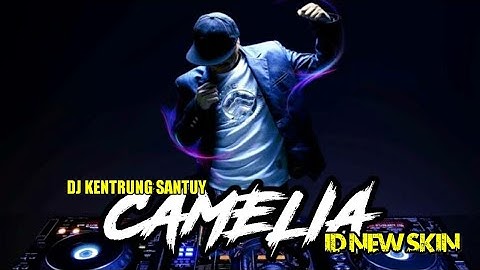 DJ CAMELIA VERSI SLOW (VOCAL CHIKA LUTFI)