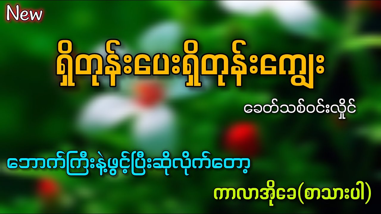 ရှိတုန်းပေးရှိတုန်းကျွေး ( karaoke ) ခေတ်သစ်ဝင်းလှိုင် #karaoke