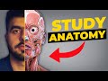 How to study anatomy in medical school  mad about medicine