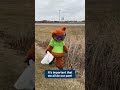 Happy Earth Day!