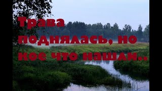 ТРАВА ПОДНЯЛАСЬ, НО КОЕ ЧТО НАШЛИ...