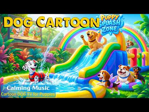 Cartoons for Dogs 24/7🔴 – Entertaining Videos for Dogs Home Alone with Relaxing Music | Dog Cartoon