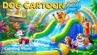 Cartoons for Dogs 24/7🔴 – Entertaining Videos for Dogs Home Alone with Relaxing Music | Dog Cartoon