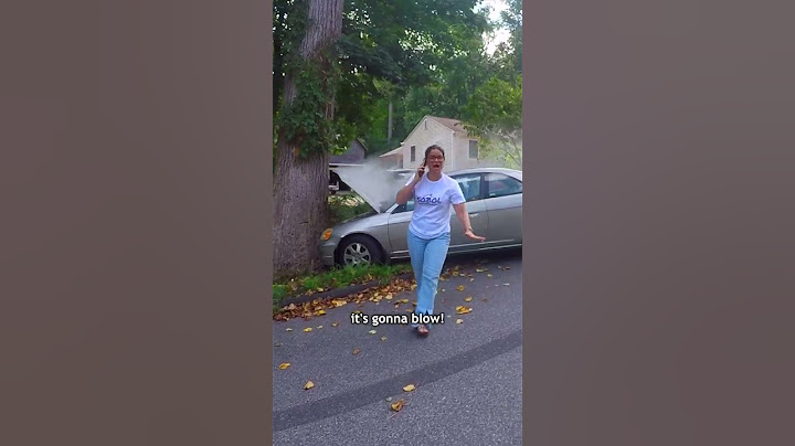 Karen Tries To Park A Car