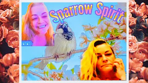Who is Sparrow Spirit and why should we care?