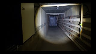 Beneath Sehome