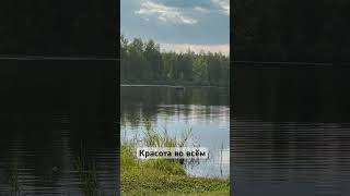 Природа #shortvideo #music #bukatara #втренде #хит #музыка #viral