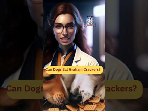 Wideo: Czy psy mogą jeść krakersy?