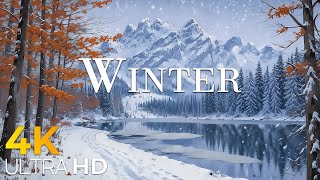 Winter Forest 4K ❄️ Snowy Trees, Falling Snow \u0026 Peaceful Nature Ambience UHD