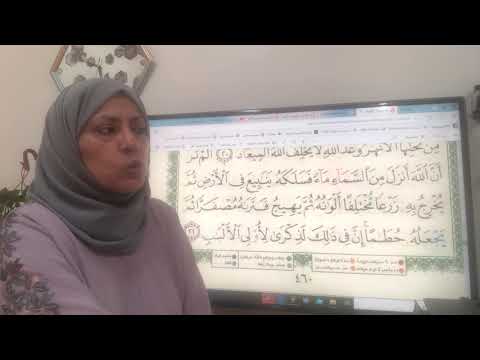 460سورة الزمر تجويد واتقان