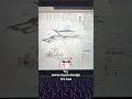 AUTOCAD is too complicated? Try rayon.design (www.rayon.design) #architecturestudent #architecture
