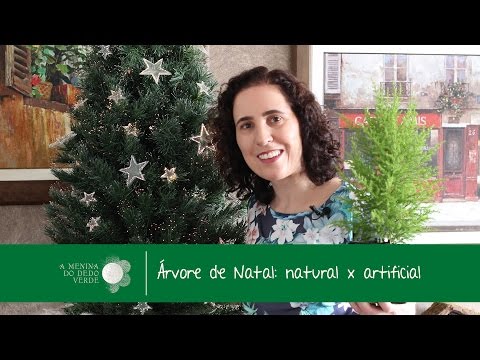 Vídeo: Qual árvore é Melhor - Natural Ou Artificial
