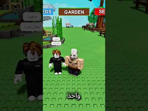 مين يبي اصير وسيط عنده    بلوكس فروتس