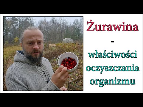 Wideo: Żurawina: Korzystne Właściwości I Przeciwwskazania