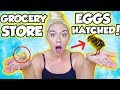 I HATCHED AN EGG FROM THE GROCERY STORE! SO SHOCKING AND AMAZING | NICOLE SKYES