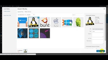 Poll Image/Video - how top create poll with images