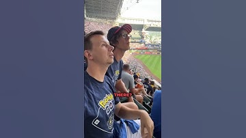 When You’re Easily Distracted by Birds