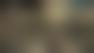 Terrible Two Dispute Rules Wrong