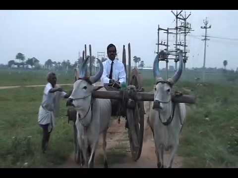 Wilbur Sargunaraj How to Drive Matuvandee Bullock Cart  Part 2