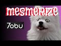GДMIИG MЦSIC Download Music Mp3 Download Mesmerize By Tobu