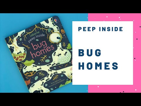 Usborne - Peep Inside Bug Homes