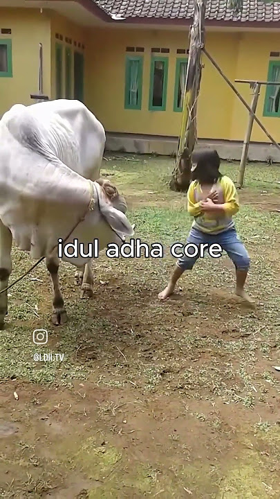 Idul Adha Core🗿🗿 #funnymemes #iduladha