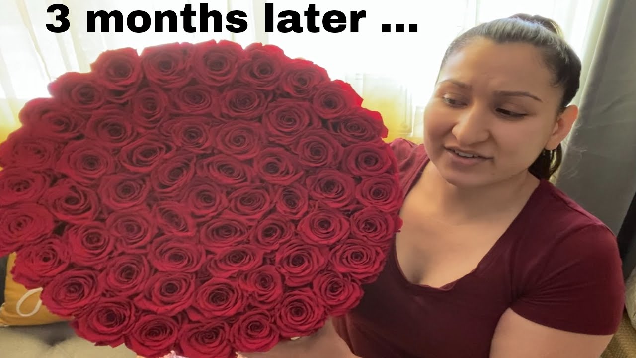 The Million Roses 3 Month Update