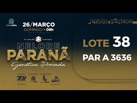 LOTE 38 PAR A3636