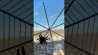 DIY Spider Web Craft 🕷️ | Yarn & Skewer Halloween Craft for Kids