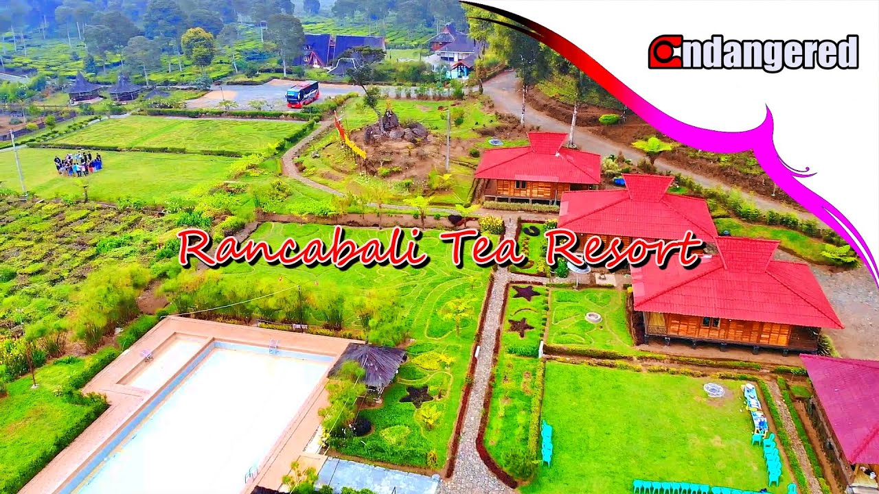  Villa  Rancabali  Tea Resort YouTube