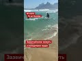 Відпочивальники дуже здивувалися, коли побачили поруч з собою у воді пінгвіна #shorts
