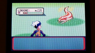 Shiny Linoone LIVE after ~14110 encounters (Phase #22 - #24) - Pokémon Ruby
