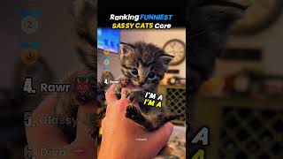 Ranking FUNNIEST SASSY CATS Core 😼