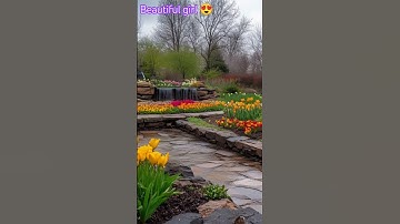 AI transformation of a hot girl 🌟 Watch beauty meet tech! #AI #Transformation #Shorts #viral #cat