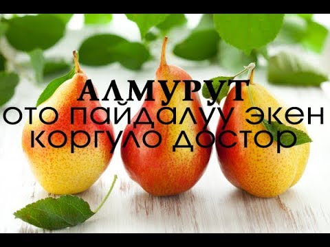 Video: Тикенек алмурут