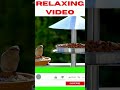 Relaxing Video 4k Video #shorts 😍 RV