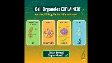 Class 9 Fundamental Unit of Life Ch 5 (Part 3): Nucleus, ER, Golgi & Vacuoles Explained