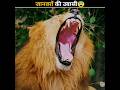CRAZY ANIMALS YAWN🥱 #shorts #wildlife #trending
