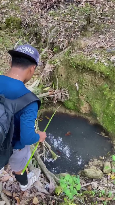 Di spot kecil ini lelenya banyak🤤 #271 #KOOKIKO