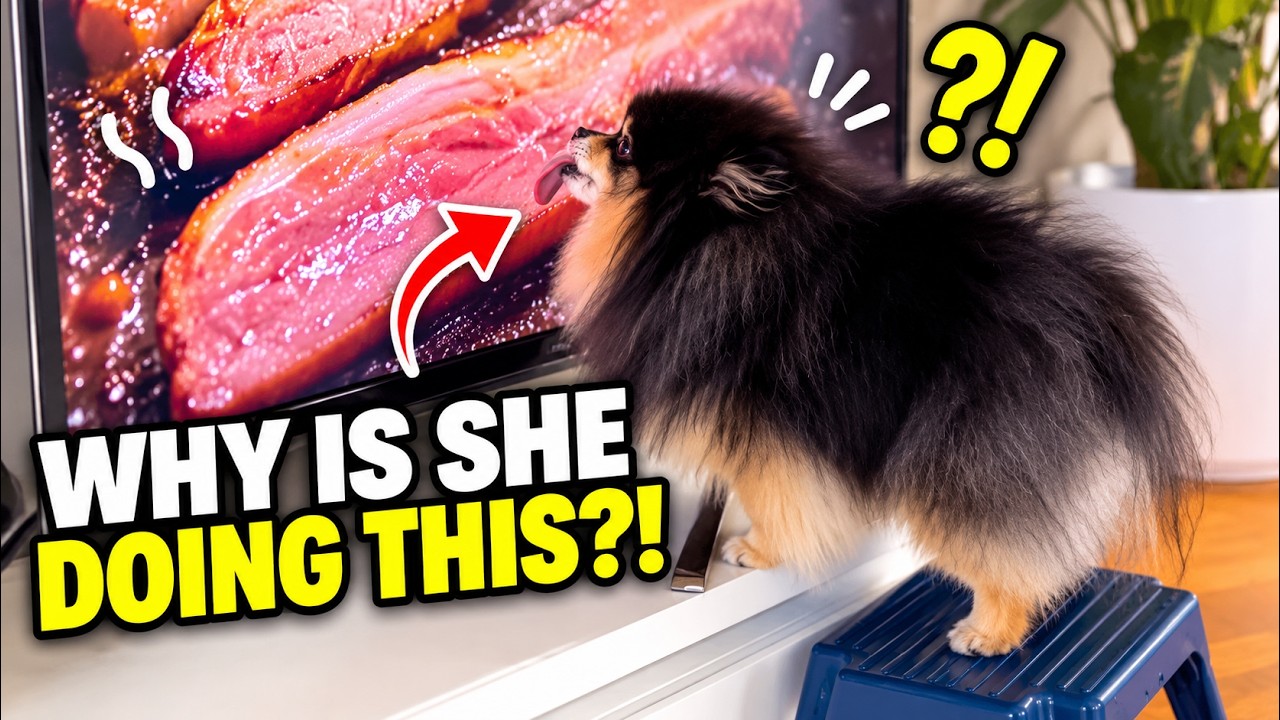 Latest Title & Thumbnail