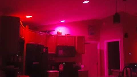 Amazon Alexa Phillips HUE and Wemo demo.