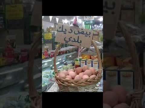 الدنيا ماشيا بضهرها حطت عليا متنسوش الاشتراك في القناه