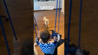 POV your dog is babysitting 🤭 #dogmom #puppy #dogsofinstagram
