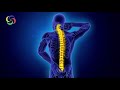 Back Pain relief 2.5 Hz Delta Waves for 3 Hours of Healing Meditation Music #RMBB