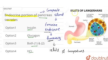Endocrine portion of pancreas secretes