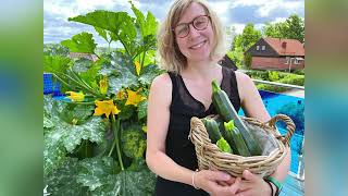 How to produce big and delicious zucchinis from your balcony in just 54 days
