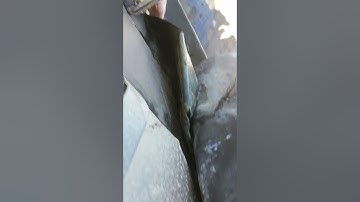 Black mould on walls inside, can I take a look at the chimney and gable flashing