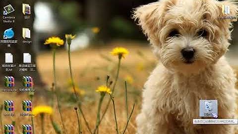 小甲鱼Python零基础教程： 007了不起的分支和循环